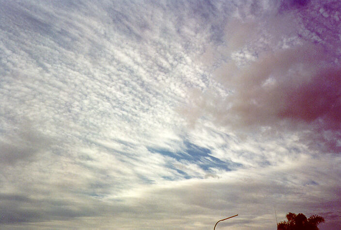 altocumulus altocumulus_cloud : Oakhurst, NSW   8 July 1997