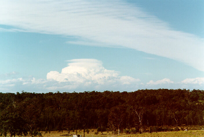 pileus pileus_cap_cloud : Schofields, NSW   3 October 1997