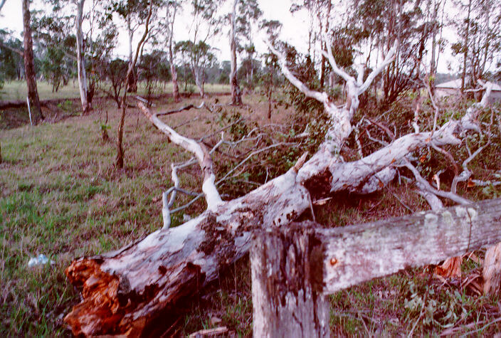 disasters storm_damage : Riverstone, NSW   30 October 1997