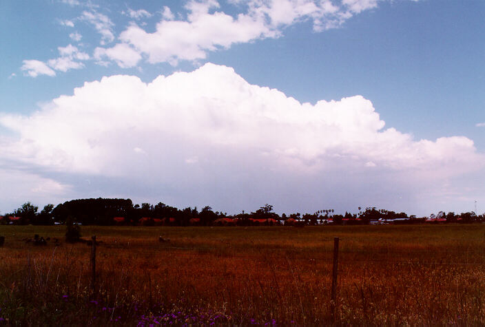 thunderstorm cumulonimbus_calvus : Richmond, NSW   7 November 1997