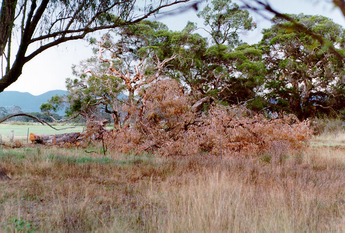 disasters storm_damage : Richmond, NSW   31 December 1997