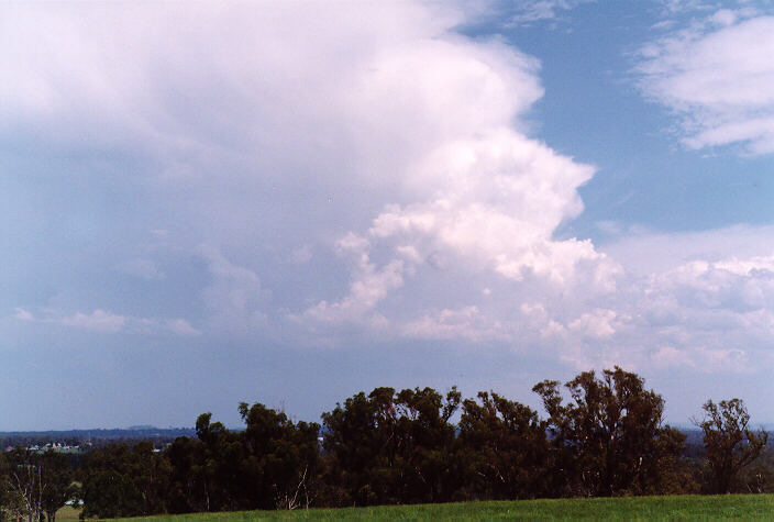 updraft thunderstorm_updrafts : Kemps Creek, NSW   15 February 1998