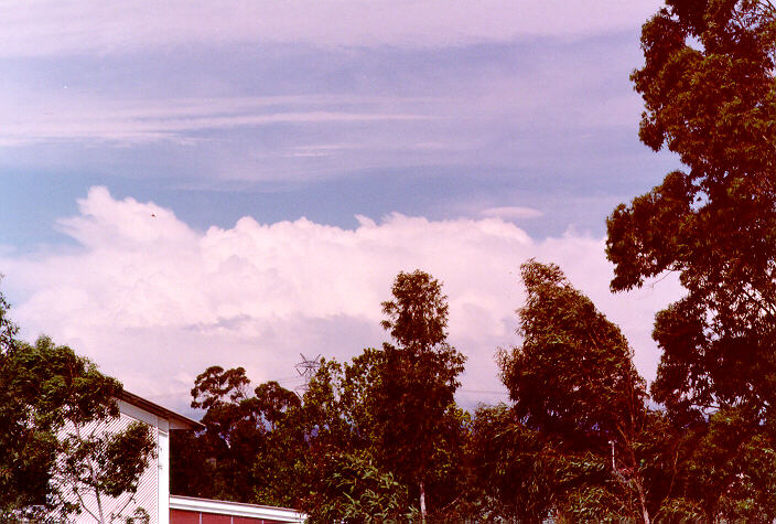 thunderstorm cumulonimbus_calvus : St Marys, NSW   16 February 1998