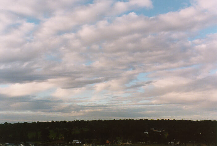 altocumulus altocumulus_cloud : Schofields, NSW   7 July 1998