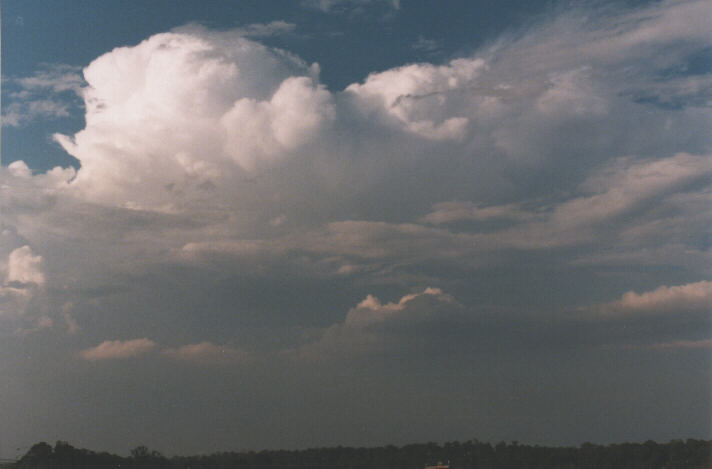 thunderstorm cumulonimbus_incus : Schofields, NSW   7 November 1998