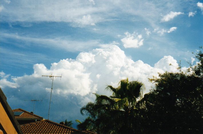 thunderstorm cumulonimbus_calvus : Oakhurst, NSW   13 November 1998
