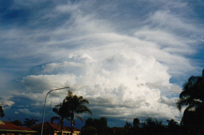 thunderstorm cumulonimbus_calvus : Oakhurst, NSW   13 November 1998