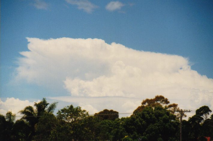 thunderstorm cumulonimbus_incus : Cundletown, NSW   19 December 1998
