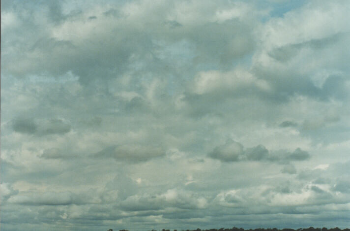 stratocumulus stratocumulus_cloud : Schofields, NSW   27 January 1999