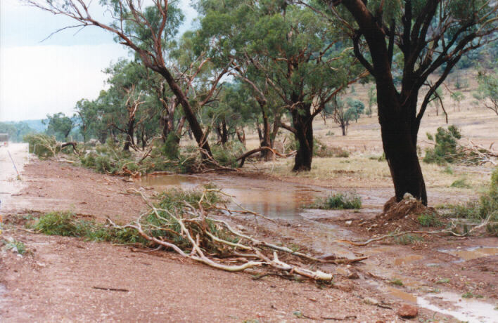 disasters storm_damage : NW of Boggabri, NSW   30 January 1999