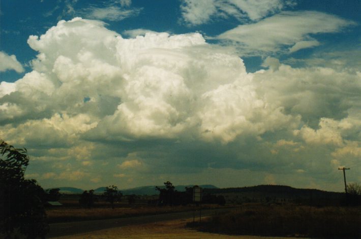 thunderstorm cumulonimbus_calvus : NW of Breeza, NSW   30 January 1999