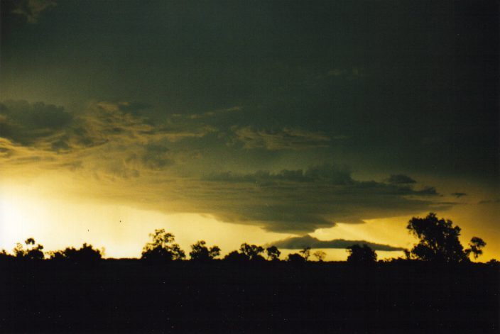 altocumulus altocumulus_cloud : W of Moree, NSW   30 January 1999
