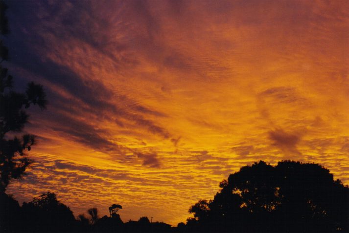favourites michael_bath : Oakhurst, NSW   31 May 1999