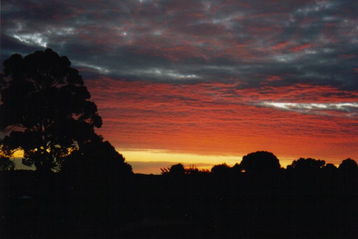 altocumulus altocumulus_cloud : Wollongbar, NSW   31 July 1999