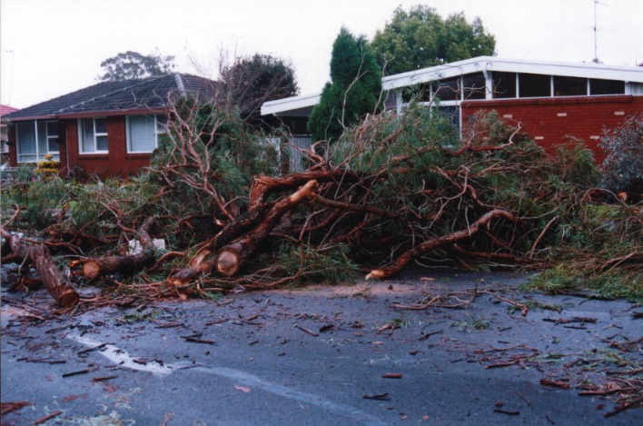 disasters storm_damage : Fairfield West, NSW   29 August 1999
