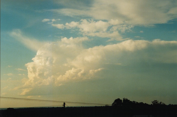 thunderstorm cumulonimbus_incus : Schofields, NSW   22 September 1999