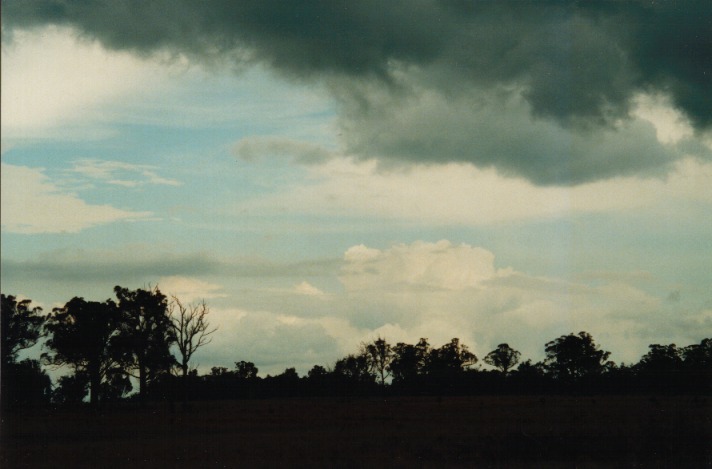 altocumulus altocumulus_cloud : Bendemeer, NSW   26 September 1999