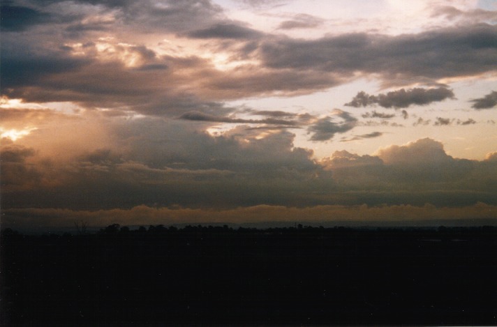 thunderstorm cumulonimbus_calvus : Horsley Park, NSW   1 October 1999