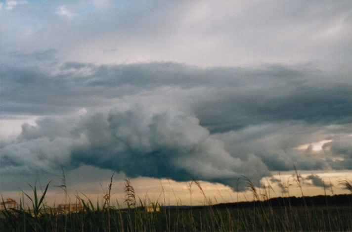 cumulus mediocris : Raymond Terrace, NSW   24 October 1999