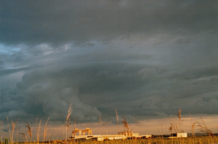 cumulus congestus : Raymond Terrace, NSW   24 October 1999