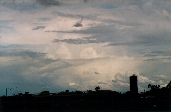 altocumulus altocumulus_cloud : Richmond, NSW   6 November 1999