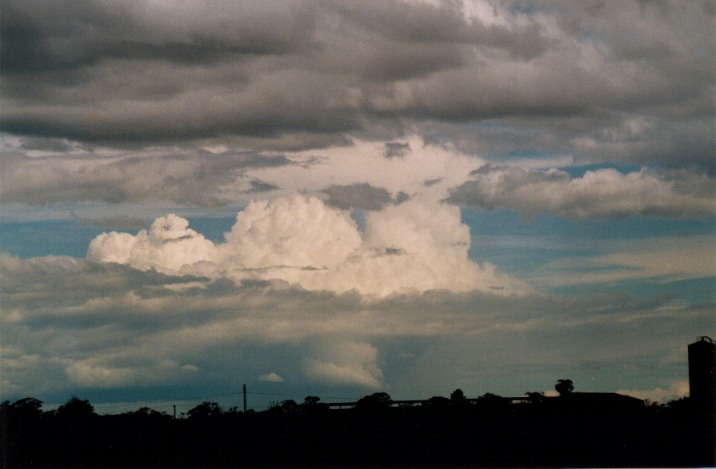 thunderstorm cumulonimbus_calvus : Richmond, NSW   6 November 1999