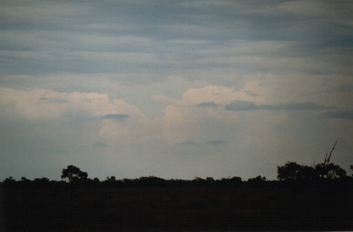 altocumulus altocumulus_cloud : near Bourke, NSW   20 November 1999
