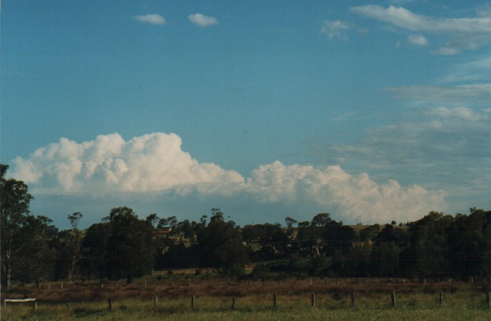 altocumulus altocumulus_cloud : Moroya, NSW   11 December 1999