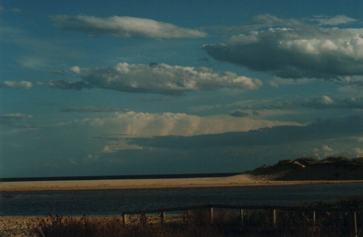 thunderstorm cumulonimbus_incus : Tabourie Lake, NSW   11 December 1999
