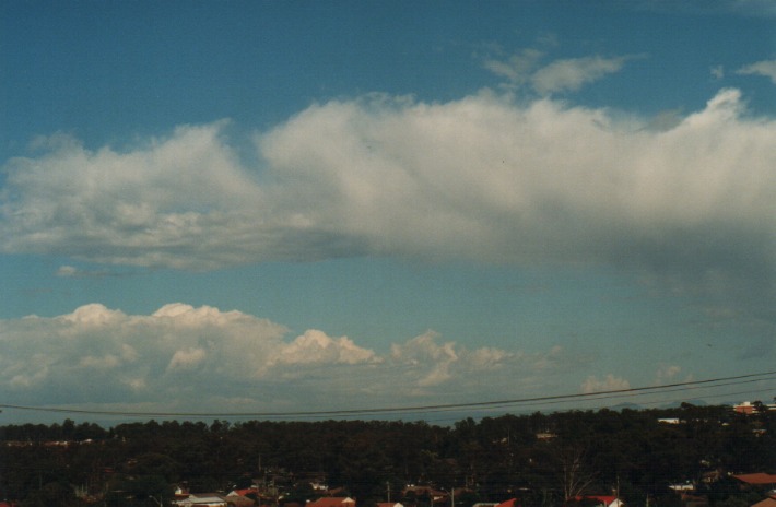 cumulus mediocris : Rooty Hill, NSW   4 January 2000