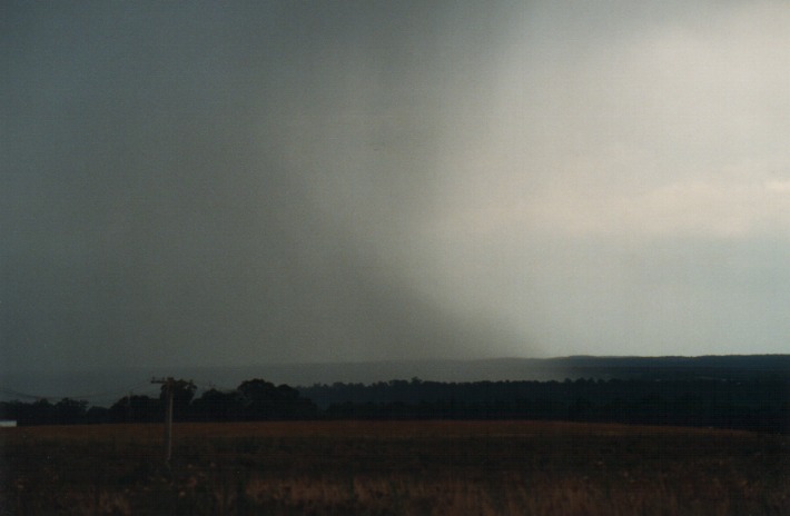 raincascade precipitation_cascade : Rooty Hill, NSW   4 January 2000