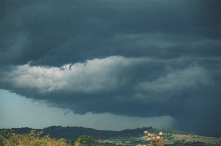 raincascade precipitation_cascade : Parrots Nest, NSW   5 January 2000