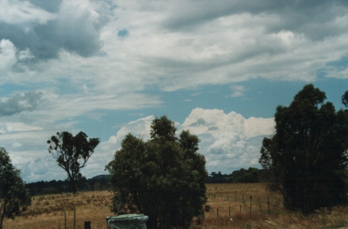 altocumulus altocumulus_cloud : Moonbi Hill, NSW   17 January 2000