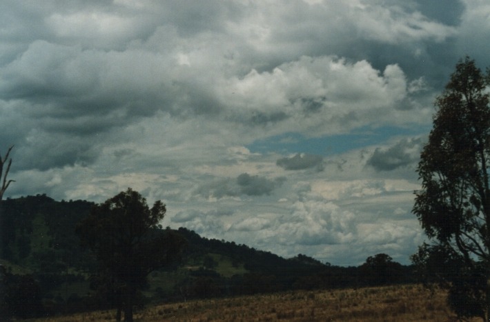 altocumulus altocumulus_cloud : Moonbi Hill, NSW   17 January 2000