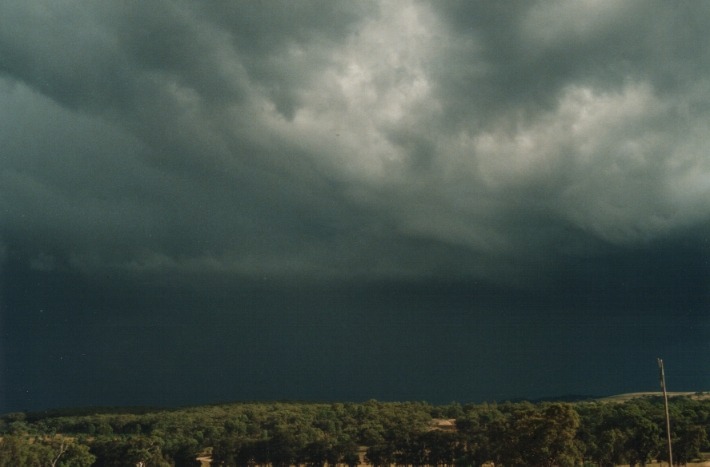 raincascade precipitation_cascade : 30km W of Glen Innes, NSW   17 January 2000