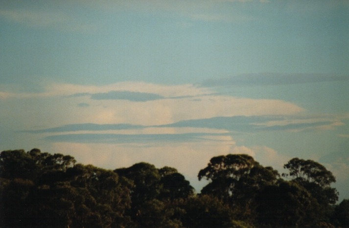 altocumulus altocumulus_cloud : Rooty Hill, NSW   3 April 2000