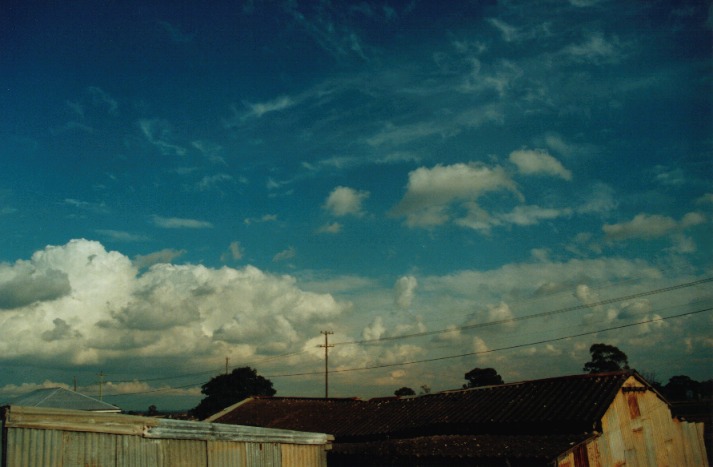 cumulus congestus : Schofields, NSW   18 June 2000