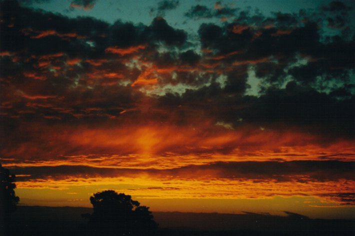 sunset sunset_pictures : McLeans Ridges, NSW   4 July 2000