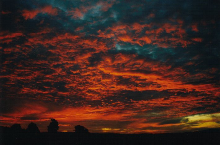 sunset sunset_pictures : McLeans Ridges, NSW   6 July 2000