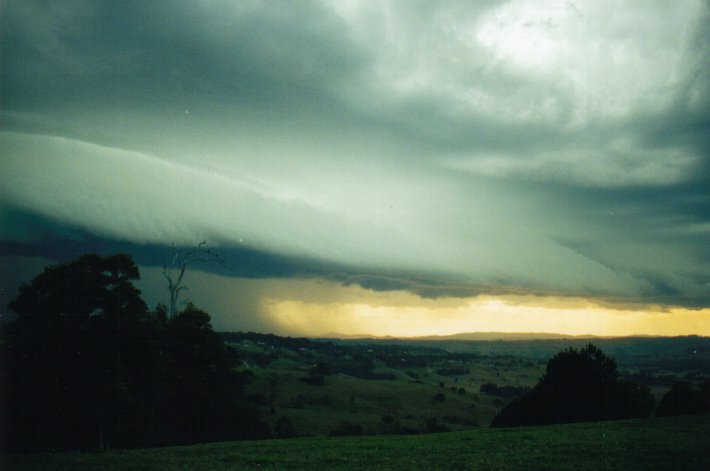 favourites michael_bath : McLeans Ridges, NSW   9 July 2000