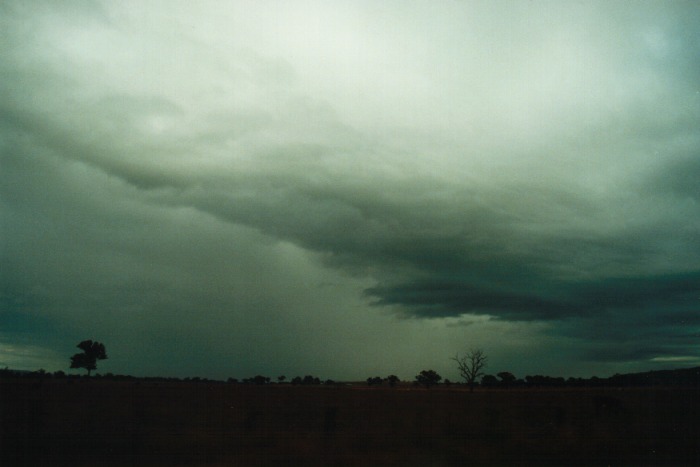 raincascade precipitation_cascade : E of Quirindi, NSW   10 July 2000