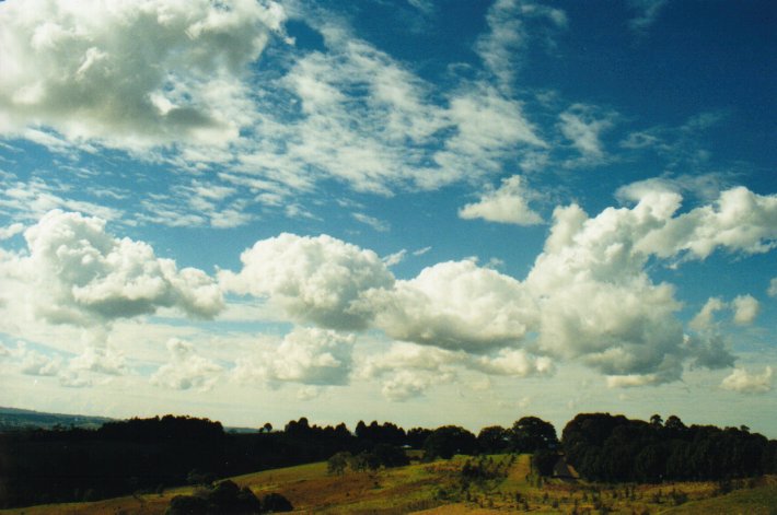 cumulus mediocris : McLeans Ridges, NSW   1 August 2000