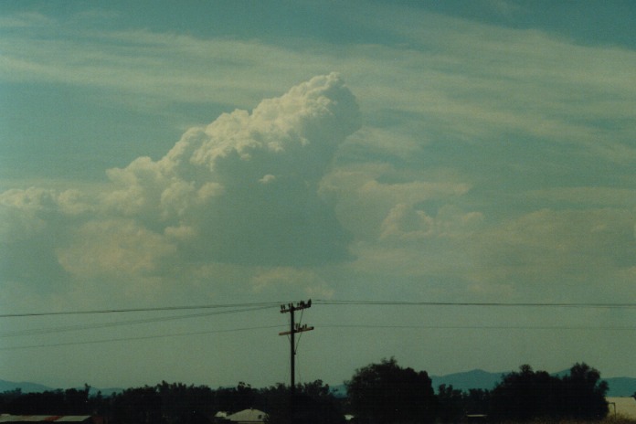 cumulus mediocris : Gunnedah, NSW   21 September 2000