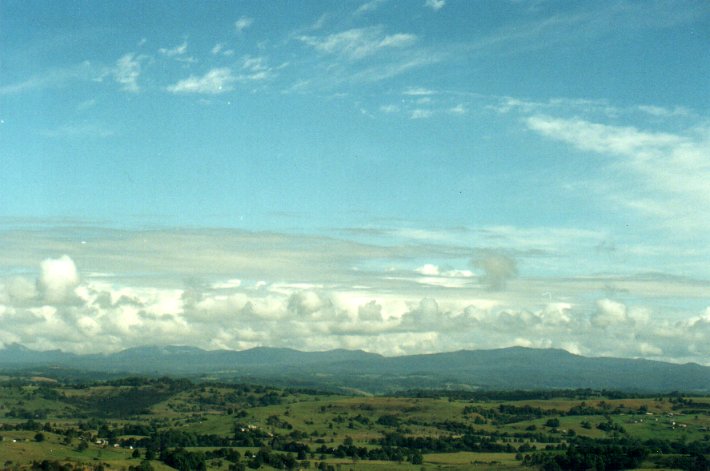 cumulus mediocris : McLeans Ridges, NSW   3 November 2000