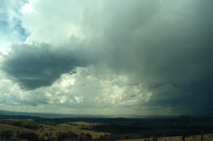 cumulonimbus thunderstorm_base : Richmond Range, NSW   4 November 2000