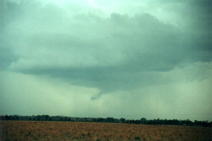 wallcloud thunderstorm_wall_cloud : S of Kyogle, NSW   5 November 2000