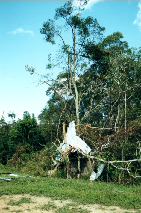 disasters storm_damage : Mount Warning, NSW   11 November 2000