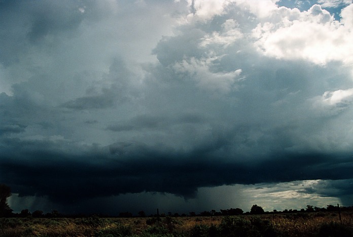 cumulonimbus thunderstorm_base : Bourke, NSW   19 November 2000