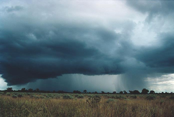 cumulonimbus thunderstorm_base : Bourke, NSW   19 November 2000