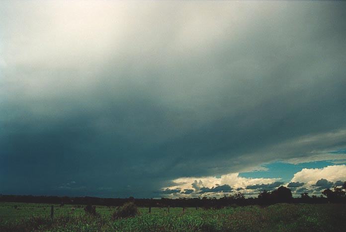 cumulonimbus thunderstorm_base : 50km N of Miles, Qld   21 November 2000